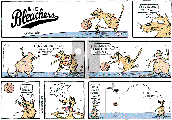 In the Bleachers - Sunday November 30, 1997 Comic Strip
