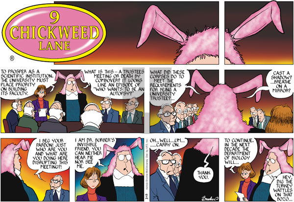 9 Chickweed Lane on Sunday March 15, 2009 Comic Strip