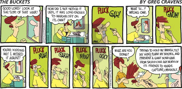 The Buckets on Sunday May 8, 2016 Comic Strip