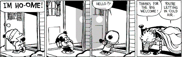 Calvin and Hobbes - Thursday January 7, 1993 Comic Strip