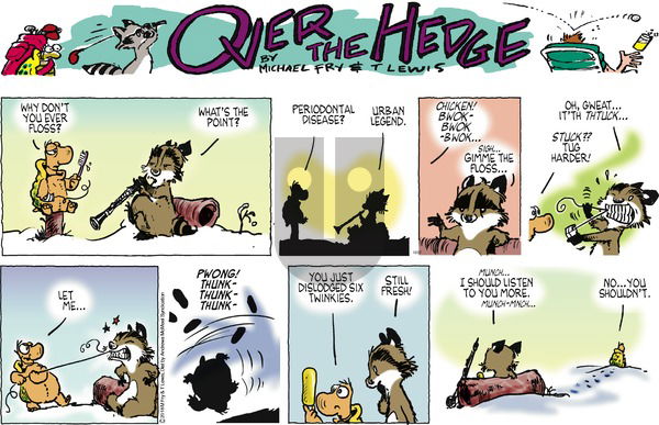 Over the Hedge on Sunday December 27, 2020 Comic Strip