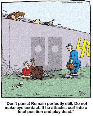 In the Bleachers - Wednesday July 16, 2008 Comic Strip
