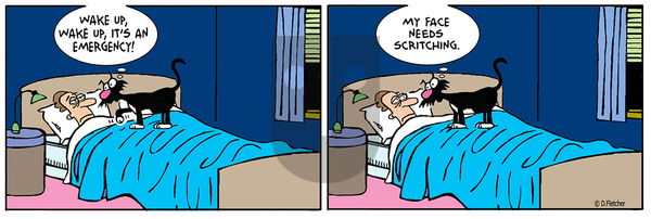 Crumb - Thursday May 19, 2022 Comic Strip
