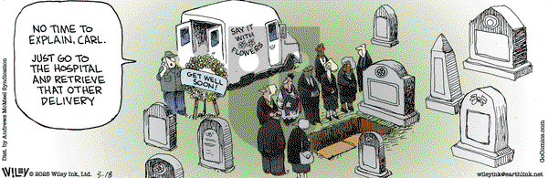Non Sequitur on Tuesday March 18, 2025 Comic Strip