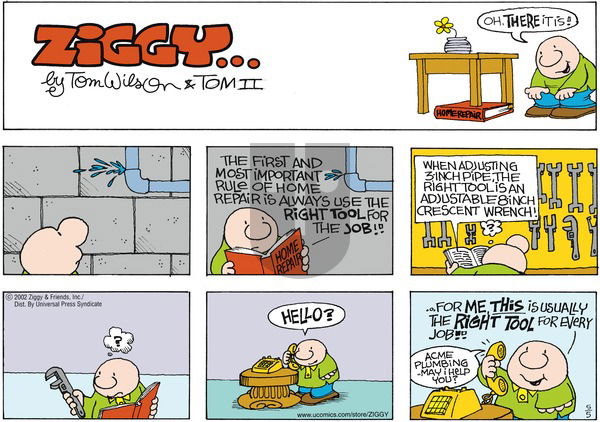Ziggy on Sunday May 5, 2002 Comic Strip