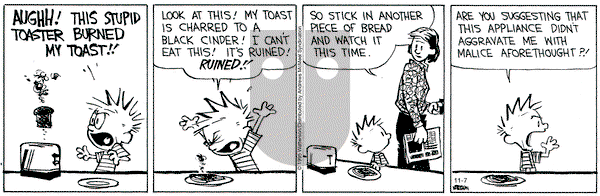 Calvin and Hobbes on Friday November 7, 2025 Comic Strip