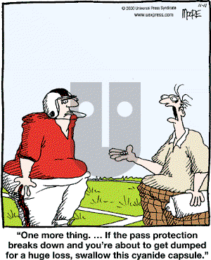 In the Bleachers - Saturday November 11, 2000 Comic Strip