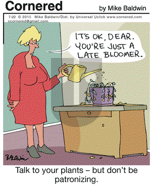 Cornered on Wednesday July 22, 2015 Comic Strip