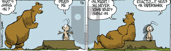 The Grizzwells on Tuesday May 31, 2016 Comic Strip