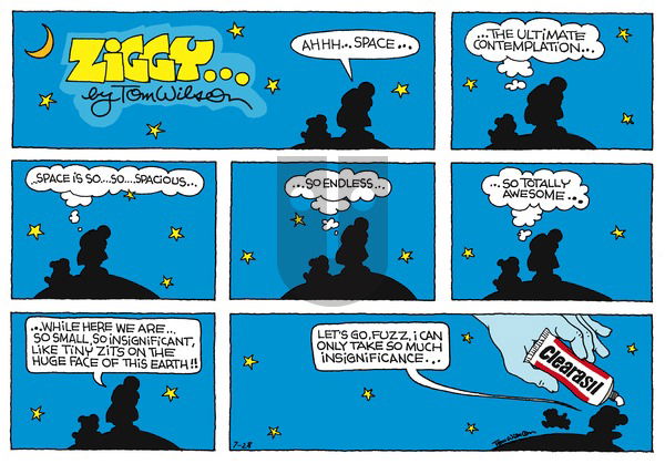 Ziggy on Sunday July 28, 1996 Comic Strip