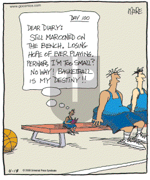 In the Bleachers - Friday April 18, 2008 Comic Strip