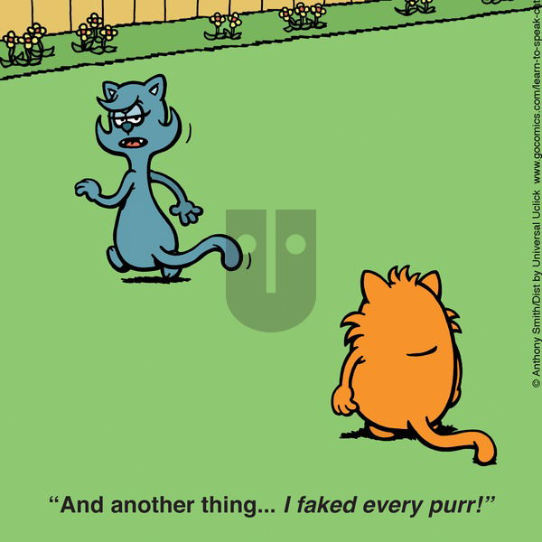Learn to Speak Cat on Sunday April 13, 2025 Comic Strip