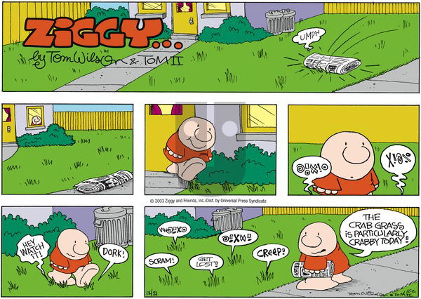 Ziggy on Sunday December 21, 2003 Comic Strip