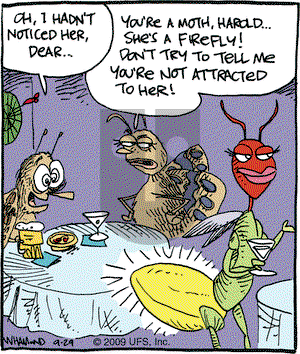 Reality Check on Tuesday September 29, 2009 Comic Strip