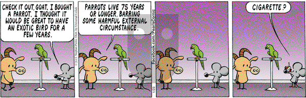 Pearls Before Swine on Friday January 23, 2015 Comic Strip