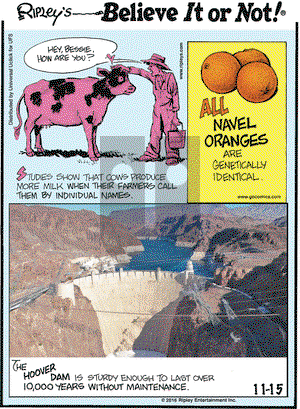 Ripley's Believe It or Not on Tuesday November 15, 2016 Comic Strip