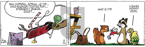 Over the Hedge on Tuesday June 24, 2008 Comic Strip