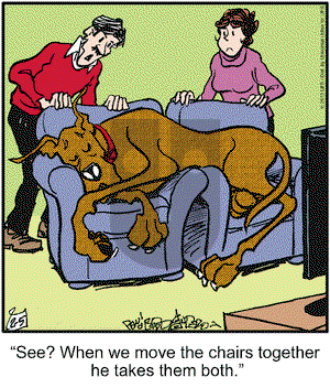 Marmaduke on Tuesday February 5, 2013 Comic Strip