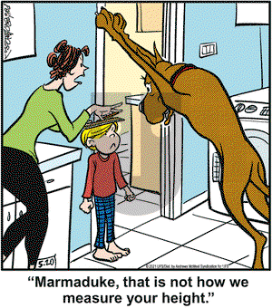 Marmaduke on Thursday May 20, 2021 Comic Strip