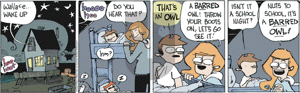 Wallace the Brave - Monday November 18, 2024 Comic Strip