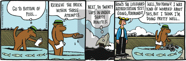 Overboard on Wednesday May 10, 2006 Comic Strip