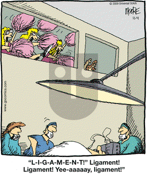 In the Bleachers on Wednesday November 4, 2009 Comic Strip