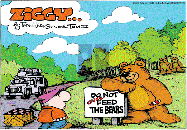 Ziggy - Sunday February 24, 2008 Comic Strip