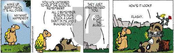 Over the Hedge on Saturday October 24, 2009 Comic Strip