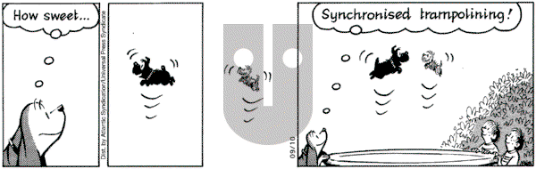 Fred Basset on Friday September 10, 2004 Comic Strip