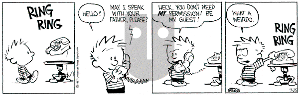 Calvin and Hobbes on Saturday July 25, 1987 Comic Strip