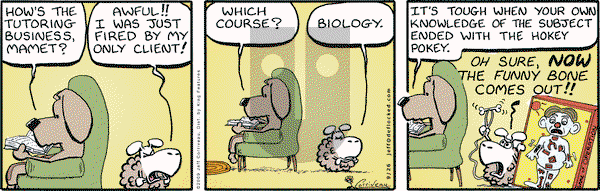 DeFlocked on Saturday September 26, 2009 Comic Strip
