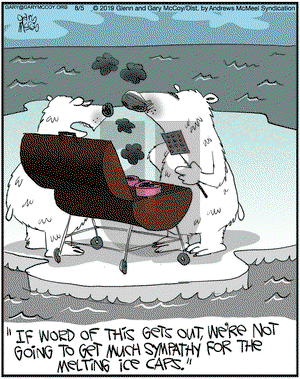 The Flying McCoys on Monday August 5, 2019 Comic Strip