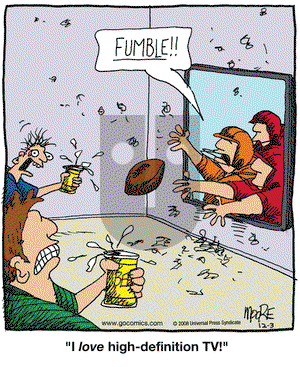 In the Bleachers on Wednesday December 3, 2008 Comic Strip