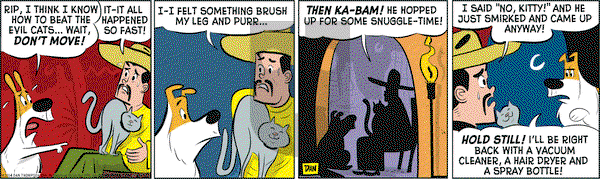 Rip Haywire on Tuesday June 10, 2014 Comic Strip