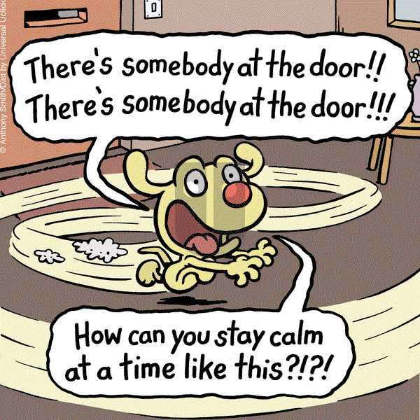 Cattitude — Doggonit - Tuesday November 8, 2016 Comic Strip