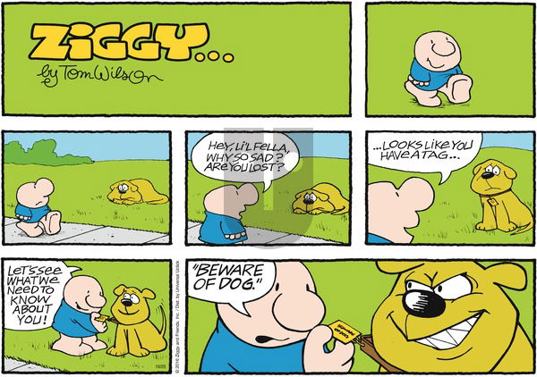 Ziggy on Sunday October 23, 2016 Comic Strip