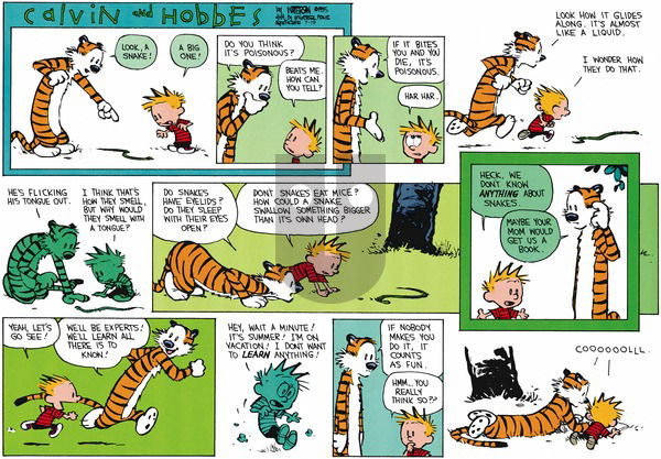 Calvin and Hobbes on Sunday July 19, 2015 Comic Strip