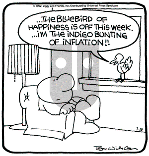 Ziggy on Monday July 13, 1992 Comic Strip