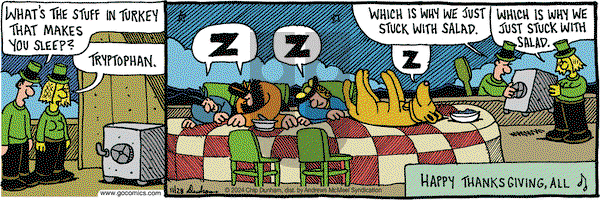 Overboard - Thursday November 28, 2024 Comic Strip