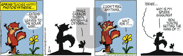 Over the Hedge on Saturday March 27, 2010 Comic Strip