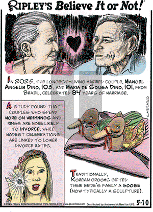 Ripley's Believe It or Not - Saturday May 10, 2025 Comic Strip
