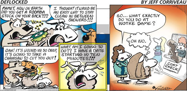 DeFlocked on Sunday February 14, 2021 Comic Strip