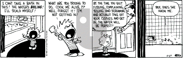 Calvin and Hobbes - Tuesday December 27, 1988 Comic Strip