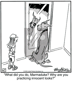 Marmaduke on Tuesday June 10, 2003 Comic Strip