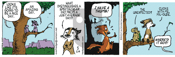 Over the Hedge on Saturday May 20, 2006 Comic Strip