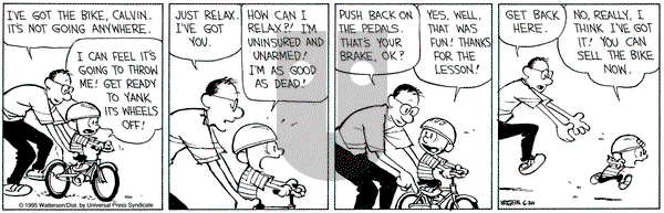 Calvin and Hobbes on Tuesday June 20, 1995 Comic Strip