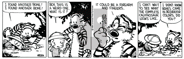 Calvin and Hobbes on Saturday May 7, 1988 Comic Strip