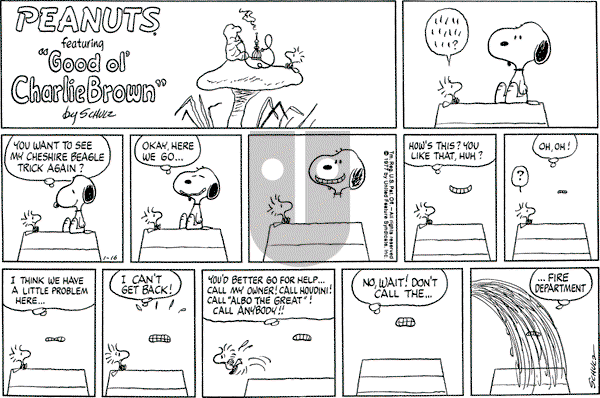 Peanuts - Sunday January 16, 1977 Comic Strip