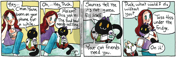 Breaking Cat News on Saturday March 1, 2025 Comic Strip