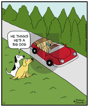Half Full on Tuesday January 7, 2014 Comic Strip